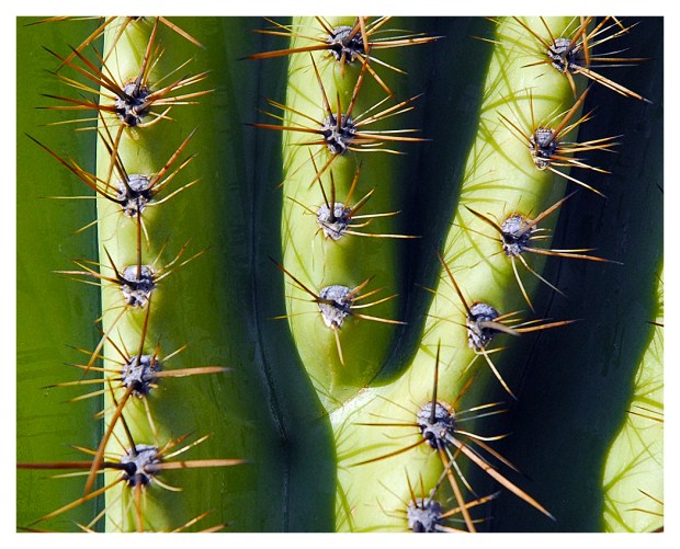 26G_Gates Pass_20090927_0146+02