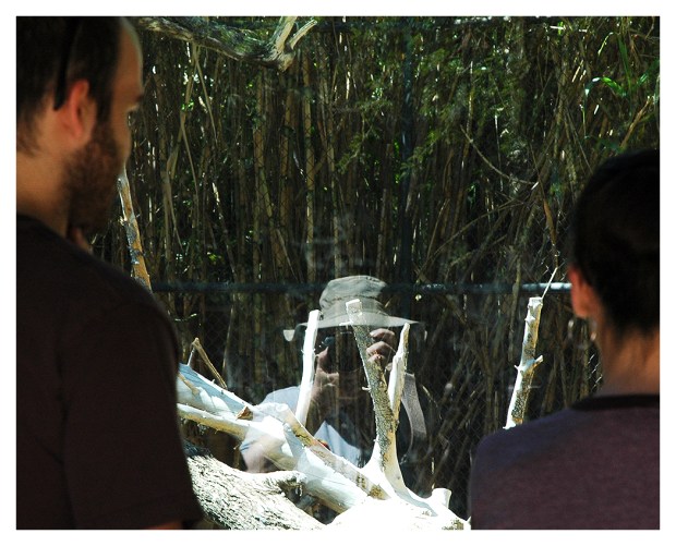 26G_06D01_Reflection_0125+04