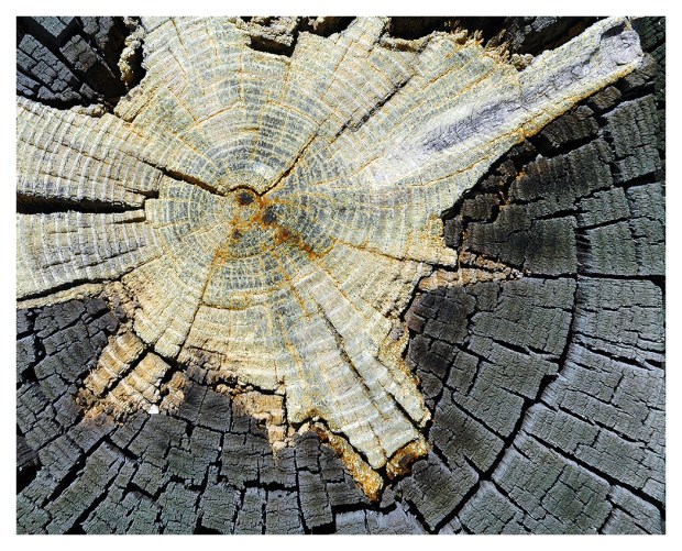 26G_06I09A-0010_Parking Lot Post Pattern_Mt Lemmon Hwy-04