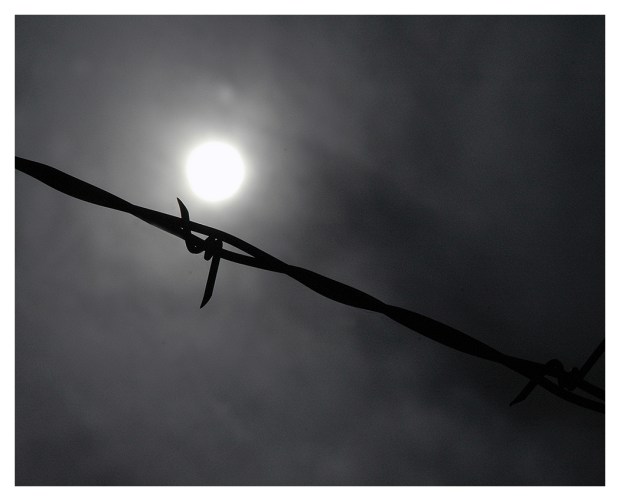 26G_06H17_Barbed Wire Pantano Wash_0121-04