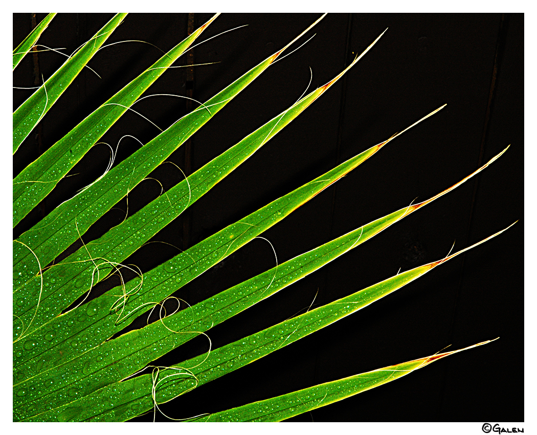 26G_05L13_0024-04F